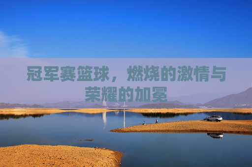 冠军赛篮球,燃烧的激情与荣耀的加冕