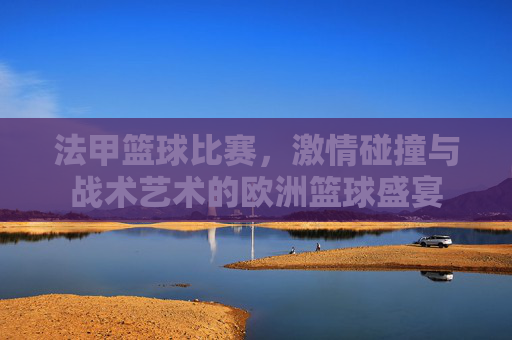 法甲篮球比赛,激情碰撞与战术艺术的欧洲篮球盛宴