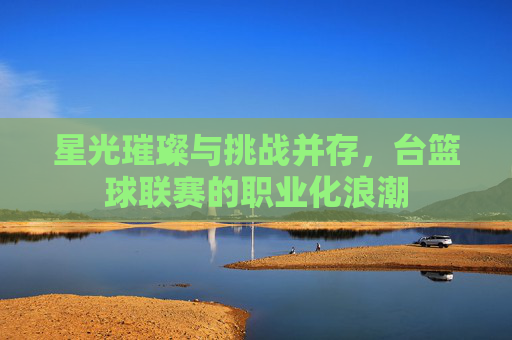 星光璀璨与挑战并存,台篮球联赛的职业化浪潮