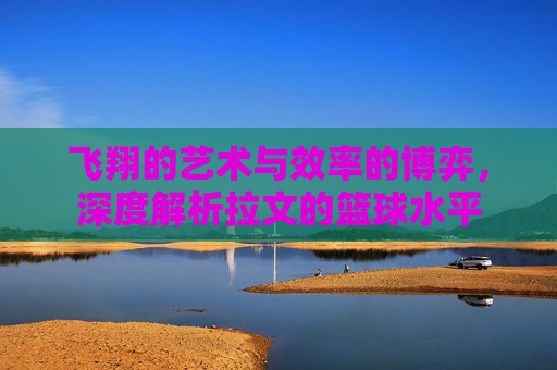 飞翔的艺术与效率的博弈,深度解析拉文的篮球水平