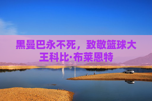 黑曼巴永不死,致敬篮球大王科比·布莱恩特