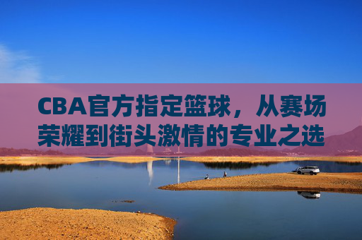 CBA官方指定篮球，从赛场荣耀到街头激情的专业之选