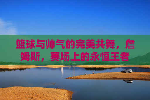 篮球与帅气的完美共舞,詹姆斯,赛场上的永恒王者