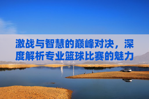 激战与智慧的巅峰对决,深度解析专业篮球比赛的魅力与竞技