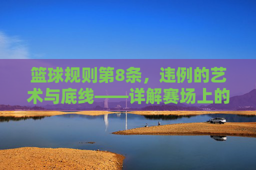 篮球规则第8条,违例的艺术与底线——详解赛场上的非犯规犯规