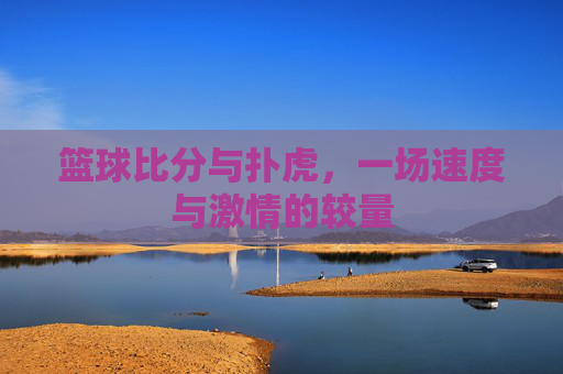 篮球比分与扑虎,一场速度与激情的较量