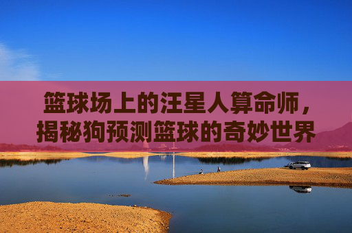 篮球场上的汪星人算命师,揭秘狗预测篮球的奇妙世界