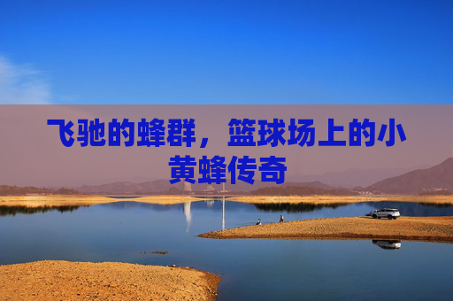 飞驰的蜂群,篮球场上的小黄蜂传奇