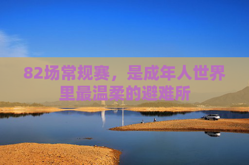 82场常规赛,是成年人世界里最温柔的避难所
