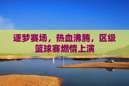 逐梦赛场,热血沸腾,区级篮球赛燃情上演
