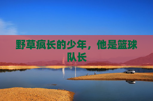 野草疯长的少年,他是篮球队长