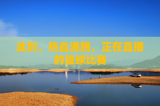 此刻，热血沸腾，正在直播的篮球比赛