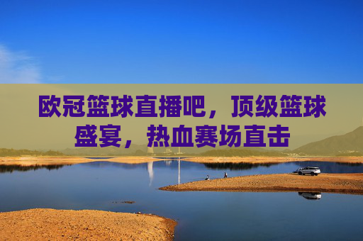 欧冠篮球直播吧,顶级篮球盛宴,热血赛场直击