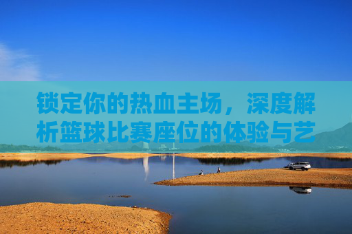 锁定你的热血主场,深度解析篮球比赛座位的体验与艺术