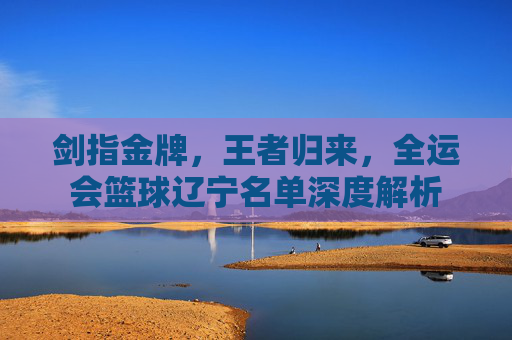 剑指金牌,王者归来,全运会篮球辽宁名单深度解析