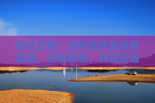 激战正酣!金砖国家篮球赛直播,点燃激情,共筑友谊之桥