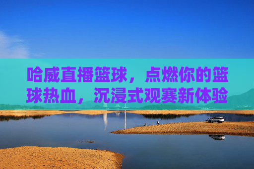 哈威直播篮球,点燃你的篮球热血,沉浸式观赛新体验