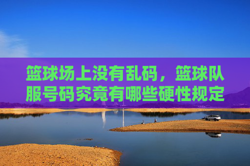 篮球场上没有乱码,篮球队服号码究竟有哪些硬性规定?