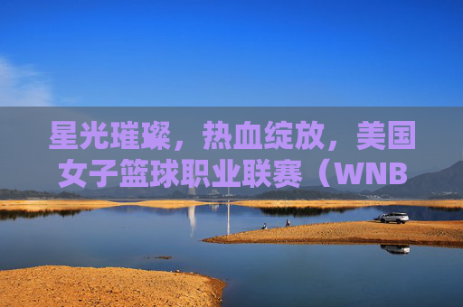 星光璀璨，热血绽放，美国女子篮球职业联赛（WNBA）的崛起与魅力