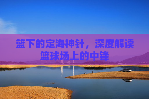 篮下的定海神针,深度解读篮球场上的中锋