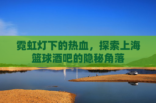 霓虹灯下的热血，探索上海篮球酒吧的隐秘角落
