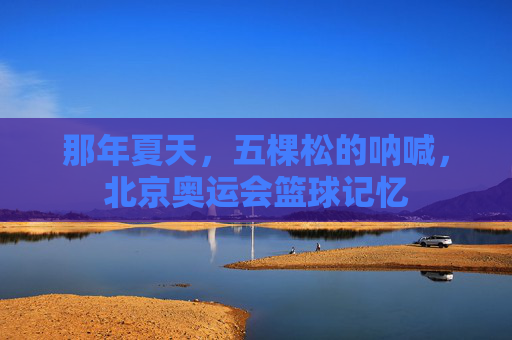那年夏天,五棵松的呐喊,北京奥运会篮球记忆