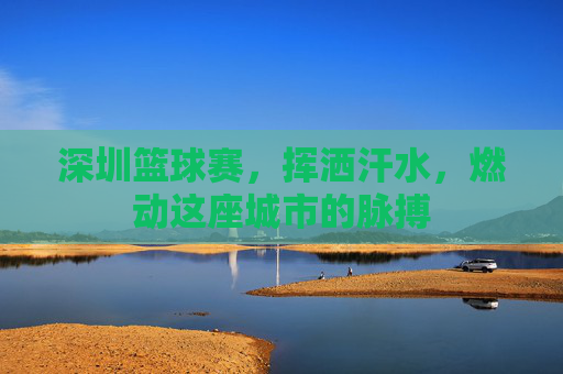 深圳篮球赛,挥洒汗水,燃动这座城市的脉搏