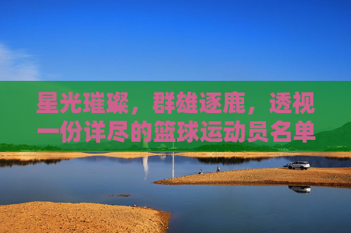 星光璀璨,群雄逐鹿,透视一份详尽的篮球运动员名单