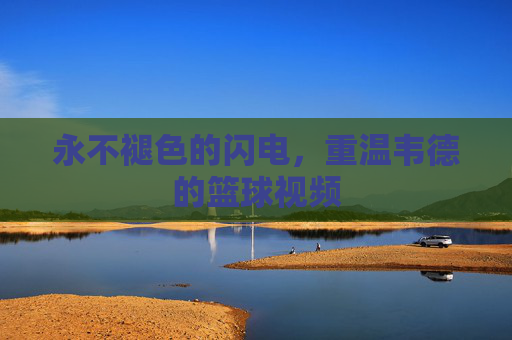永不褪色的闪电,重温韦德的篮球视频