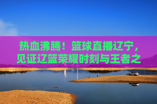 热血沸腾!篮球直播辽宁,见证辽篮荣耀时刻与王者之路