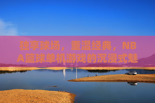 独享球场，重温经典，NBA篮球单机游戏的沉浸式魅力