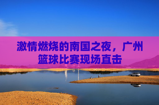 激情燃烧的南国之夜,广州篮球比赛现场直击