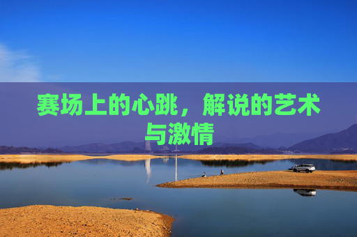 赛场上的心跳,解说的艺术与激情