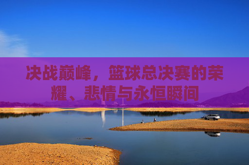 决战巅峰,篮球总决赛的荣耀、悲情与永恒瞬间