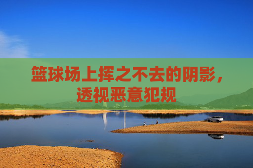 篮球场上挥之不去的阴影,透视恶意犯规
