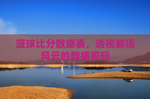 篮球比分数据表,透视赛场风云的数据密码