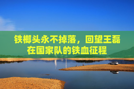 铁榔头永不掉落，回望王磊在国家队的铁血征程