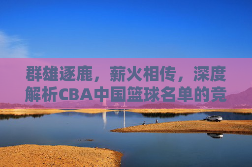 群雄逐鹿,薪火相传,深度解析CBA中国篮球名单的竞争格局