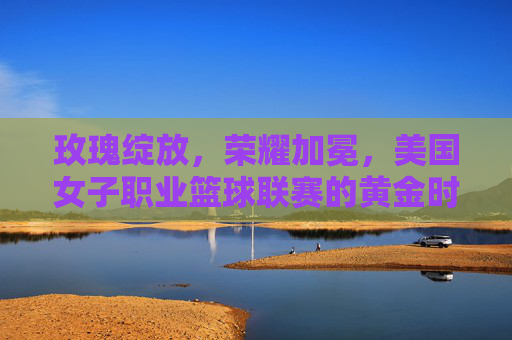玫瑰绽放,荣耀加冕,美国女子职业篮球联赛的黄金时代