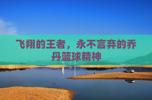飞翔的王者,永不言弃的乔丹篮球精神