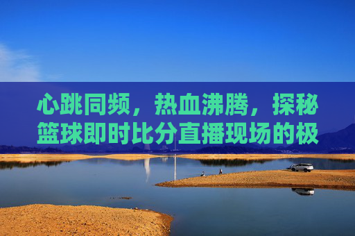 心跳同频,热血沸腾,探秘篮球即时比分直播现场的极致魅力