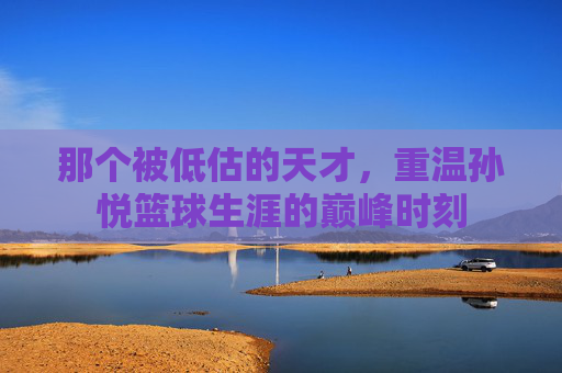 那个被低估的天才,重温孙悦篮球生涯的巅峰时刻