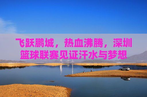 飞跃鹏城，热血沸腾，深圳篮球联赛见证汗水与梦想