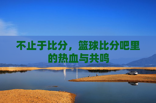 不止于比分，篮球比分吧里的热血与共鸣