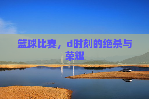 篮球比赛,d时刻的绝杀与荣耀