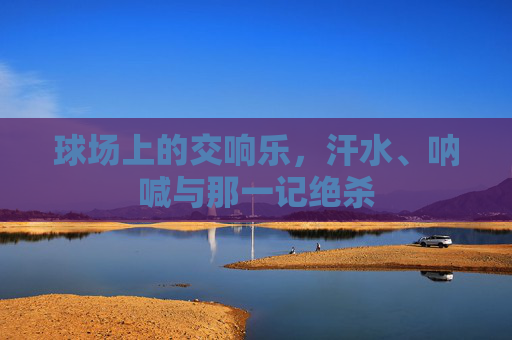 球场上的交响乐，汗水、呐喊与那一记绝杀