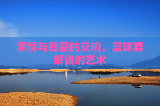 激情与智慧的交响,篮球赛解说的艺术