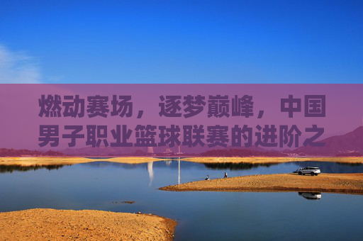 燃动赛场，逐梦巅峰，中国男子职业篮球联赛的进阶之路