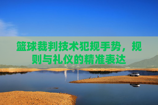 篮球裁判技术犯规手势,规则与礼仪的精准表达