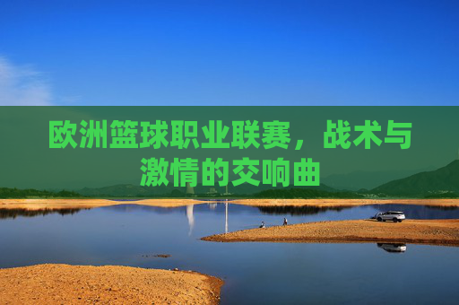 欧洲篮球职业联赛,战术与激情的交响曲